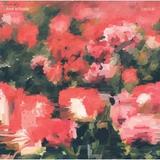 Rival Schools - Pedals Artwork