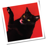 Ryan Adams - Big Colors