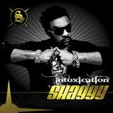 Shaggy - Intoxication Artwork