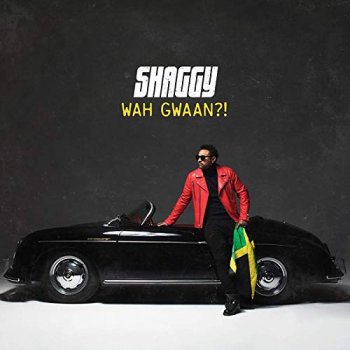 Shaggy - Wah Gwaan?! Artwork