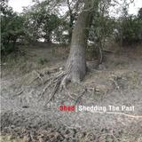 Shed - Shedding The Past Artwork