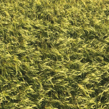 Skee Mask - Pool Artwork