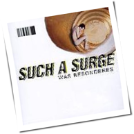 Such A Surge - Was Besonderes