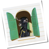 Superchunk - Wild Loneliness