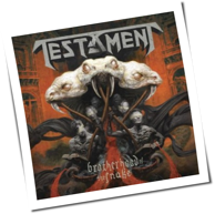 Testament - Brotherhood Of The Snake