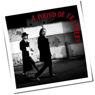 The Black Crowes - A Pound Of Feathers