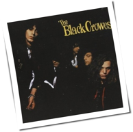 The Black Crowes - Shake Your Money Maker