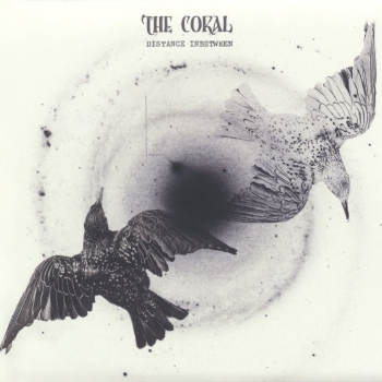 The Coral - Distance Inbetween Artwork