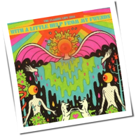 The Flaming Lips - With A Little Help From My Fwends