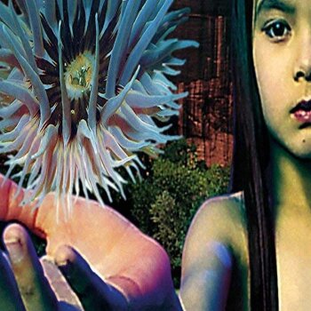 The Future Sound Of London - Lifeforms Artwork