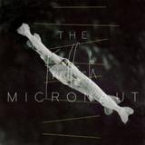 The Micronaut - Friedfisch