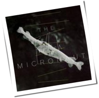 The Micronaut - Friedfisch