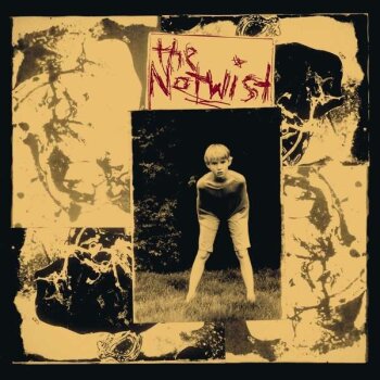 The Notwist - The Notwist (30 Years Special Edition) Artwork