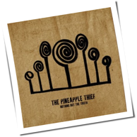 The Pineapple Thief - Nothing But The Truth