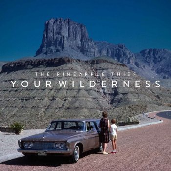 The Pineapple Thief - Your Wilderness Artwork