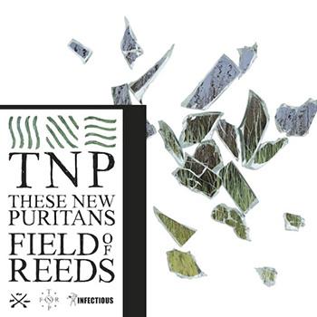 These New Puritans - Field Of Reeds Artwork