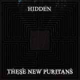 These New Puritans - Hidden Artwork
