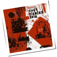 Tied & Tickled Trio - Observing Systems