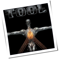 Tool - Salival