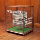 Various Artists - Well Deep: Ten Years Of Big Dada Recordings Artwork
