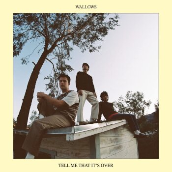 Wallows - Tell Me That It's Over Artwork