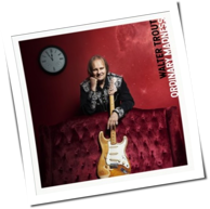 Walter Trout - Ordinary Madness