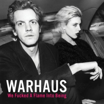 Warhaus - We Fucked A Flame Into Being Artwork