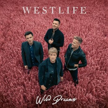 Westlife - Wild Dreams Artwork