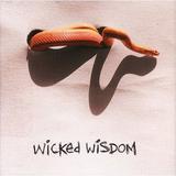 Wicked Wisdom - Wicked Wisdom Artwork