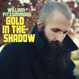 William Fitzsimmons - Gold In The Shadow Artwork