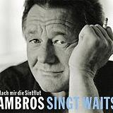 Wolfgang Ambros - Nach Mir Die Sinnflut - Ambros Singt Waits Artwork