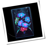 Xenia Rubinos - Una Rosa