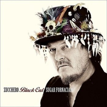 Zucchero - Black Cat Artwork