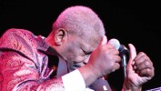 B.B. King, | © laut.de (Fotograf: Christoph Cordas)