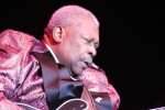 B.B. King, | © laut.de (Fotograf: Christoph Cordas)