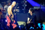 Die Red Hot Chili Peppers stellen "I'm With You" vor., 2011 live in Köln | © laut.de (Fotograf: Peter Wafzig)