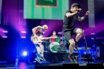 Red Hot Chili Peppers, Radiohead und Co,  | © laut.de (Fotograf: Andreas Koesler)