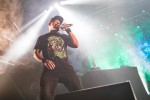 Cypress Hill, Rage Against The Machine und Prophets Of Rage,  | © laut.de (Fotograf: Rainer Keuenhof)