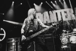 Pantera und Die Toten Hosen, | © laut.de (Fotograf: Rainer Keuenhof)