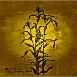 Wovenhand - The Laughing Stalk