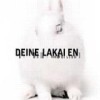 Deine Lakaien - White Lies: Album-Cover