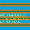 Petgroove - The Bristol Experience