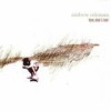 Andrew Coleman - Tony Alva's Hair: Album-Cover