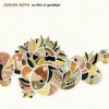Junior Boys - So This Is Goodbye: Album-Cover