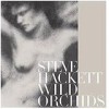 Steve Hackett - Wild Orchids: Album-Cover