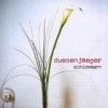 Duesenjaeger - Schimmern: Album-Cover