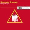 Bermuda Triangle - Mooger Fooger: Album-Cover