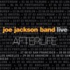 Joe Jackson - Afterlife (Live): Album-Cover