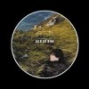 Feist - Let It Die: Album-Cover