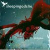 Sleepingodslie - Phlegma: Album-Cover